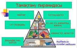 Тамақтану пирамидасы